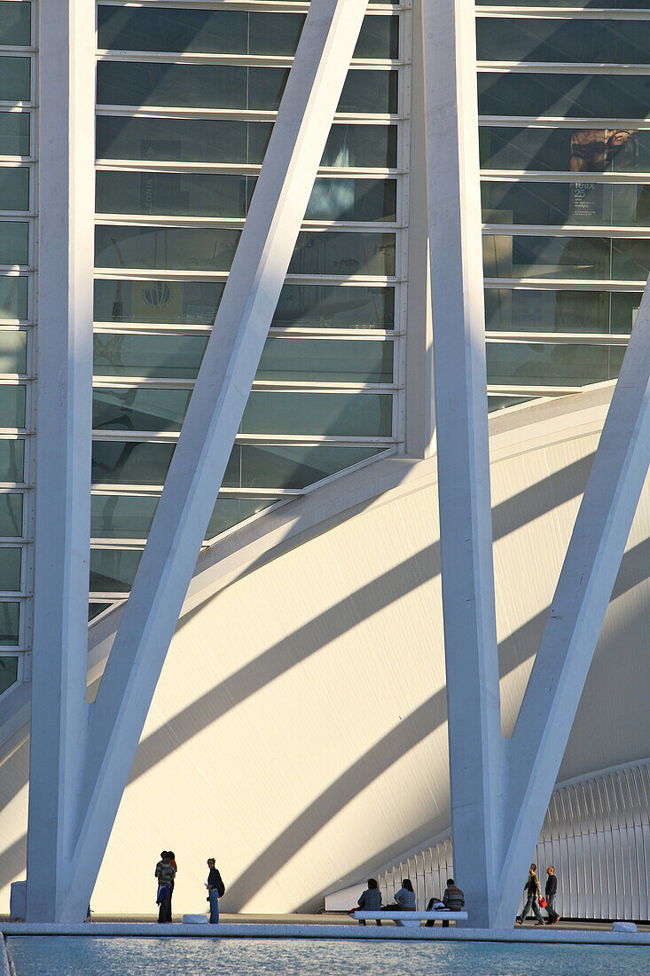 City of Arts and Sciences, Science Museum, Ciudad de las Artes y las Ciencias, Museo de las Ciencias Principe Felipe, like a skeleton of a giant whale, architect Calatrava, Valencia, Spain