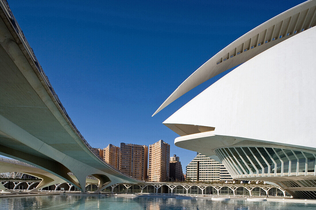 City of Arts and Sciences, Ciudad de las Artes y las Ciencias, architect Calatrava, Valencia, Spain