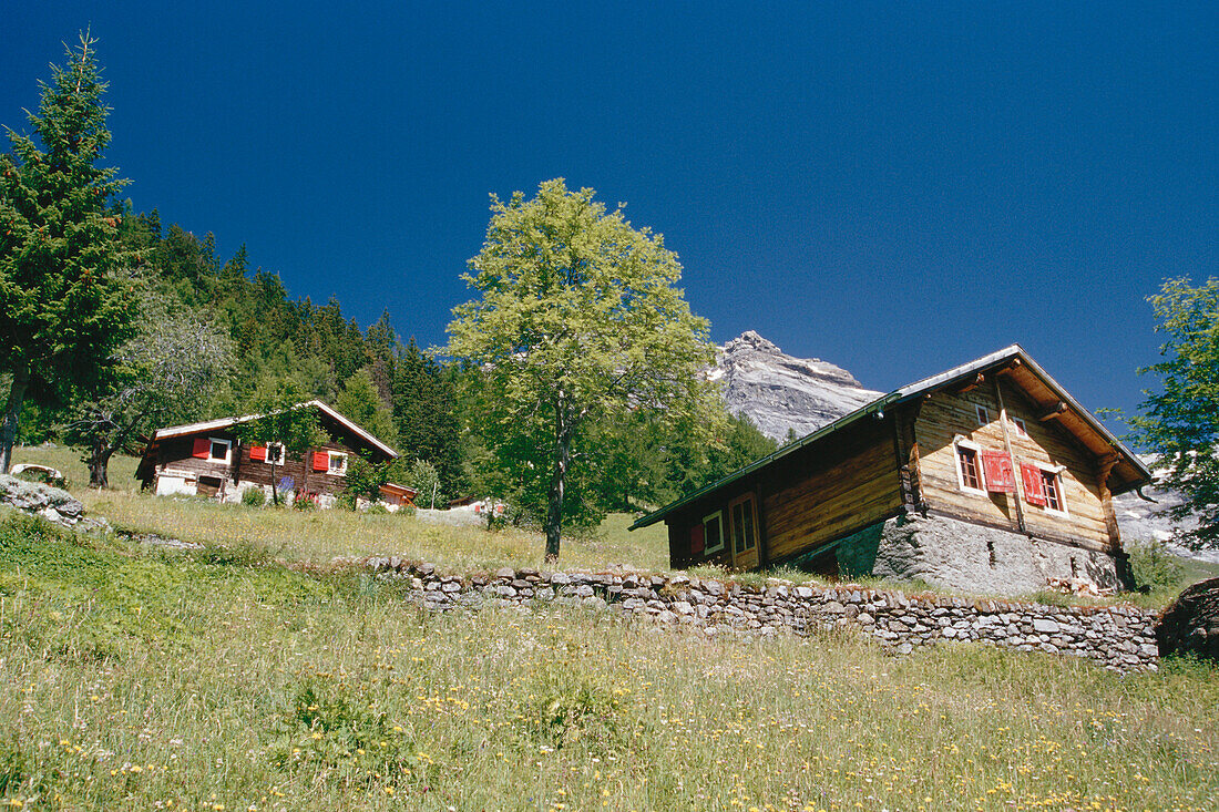 Typical houses, mountain farms, Alps, Valais, Switzerland