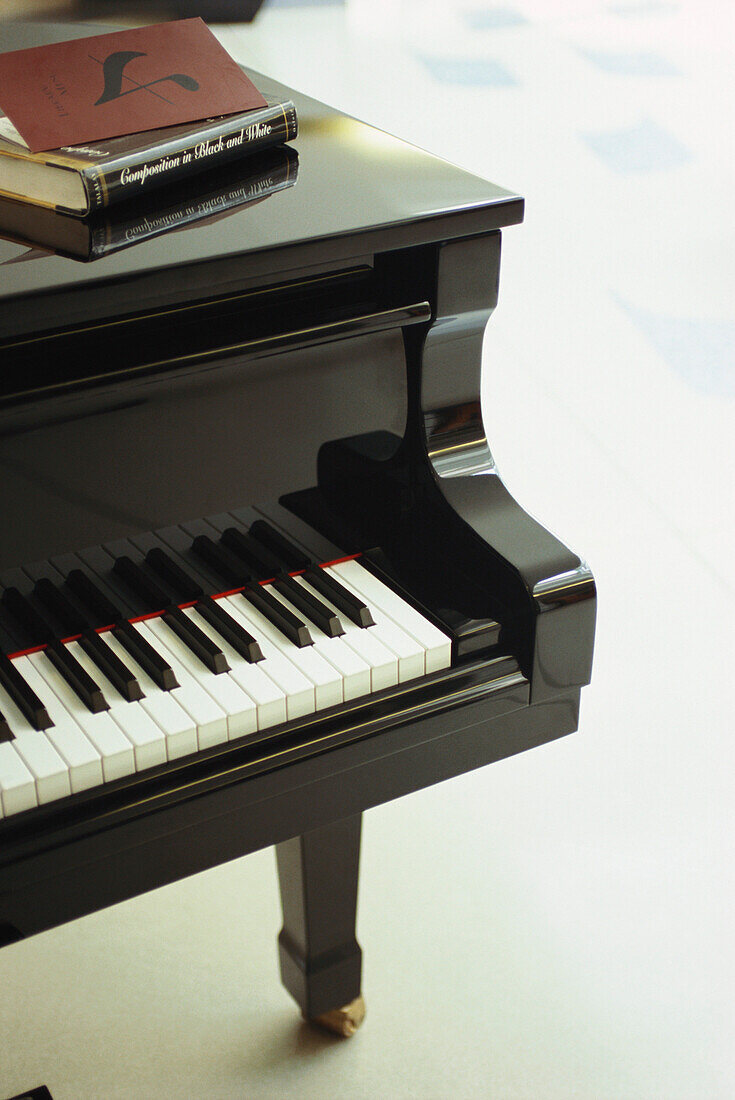 Grand Piano, Hotel Aria, Prague, Czech Republic