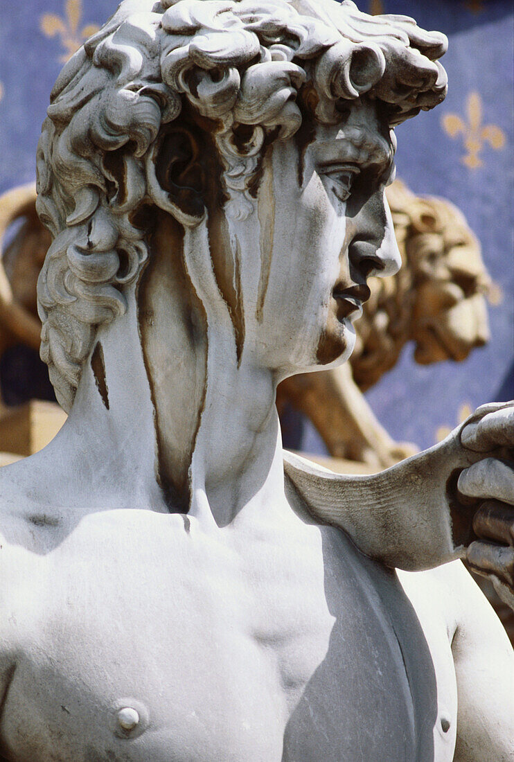 Close up of Michelangelos David statue, Florence, Italy