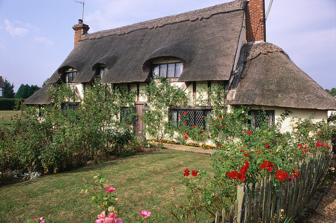 Cottage mit Strohdach bei Whitebread, Kent, England