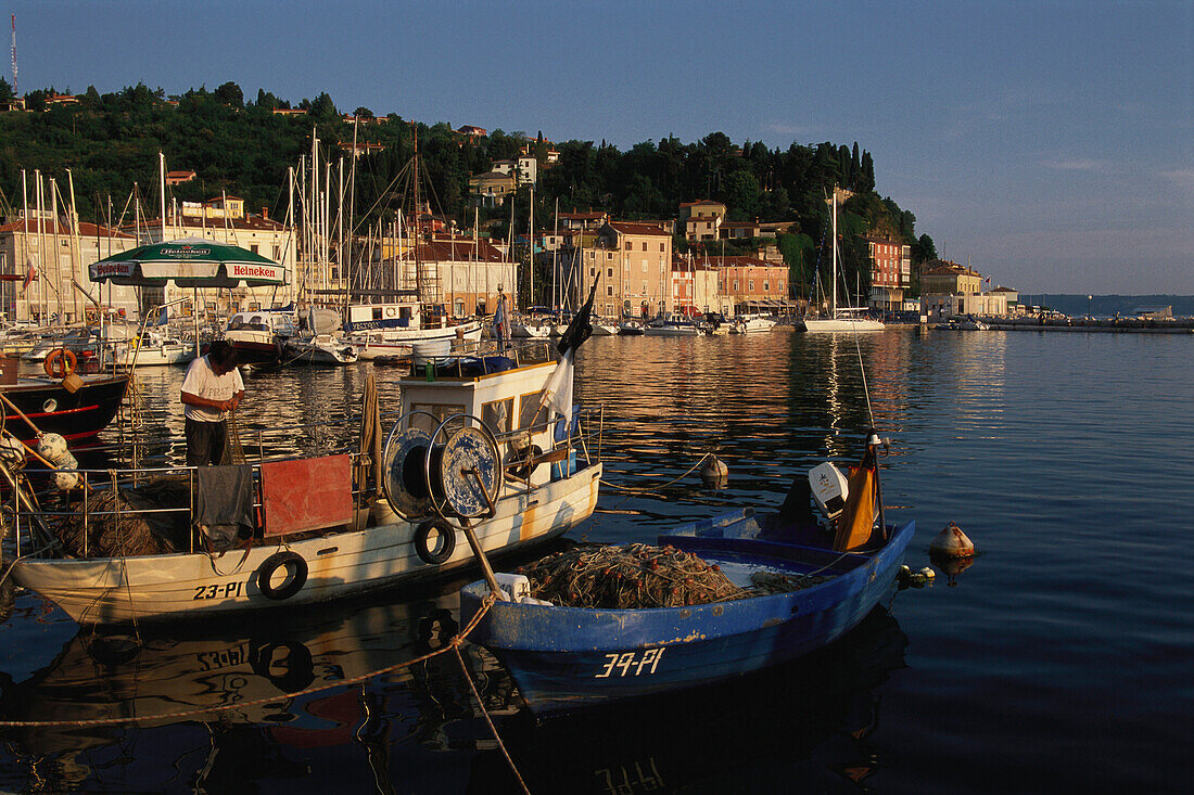 Fishing boats at the harbour, Piran, Slovenia