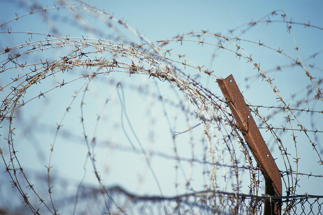 Close up of barbed wire fence, Kibbuz Manara near Qiriat Shmone, Upper Galilee, Israel