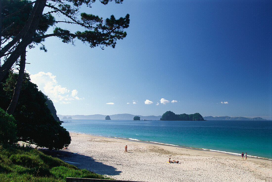 Beach near the town Coromandel, Coromandel Peninsula, North Island, New Zealand