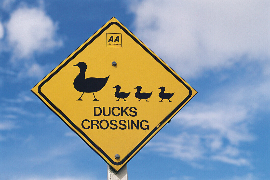 Traffic sign showing ducks, Ducks Crossing, North Island, New Zealand