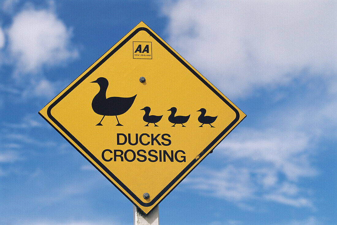 Verkehrsschild, Enten, North Island, Neuseeland