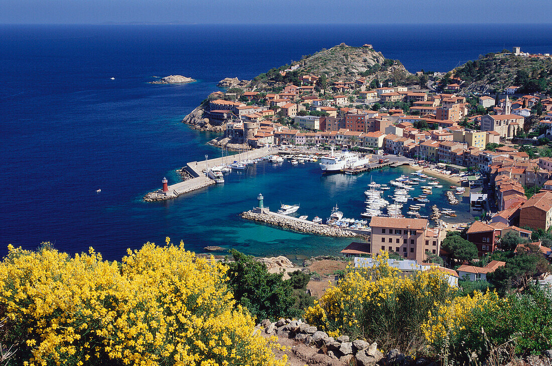 Harbour, Giglio Porto, Isola del Giglio, Tuscany, Italy