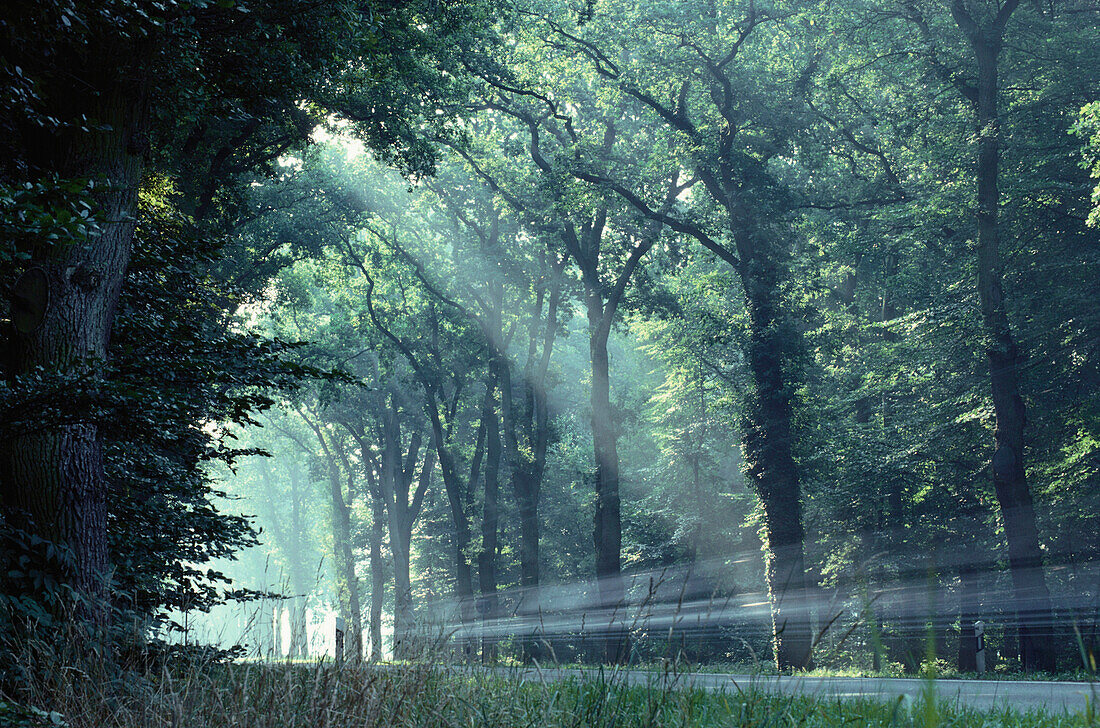 Parkway near Frenswegen, Nordhorn, Lower Saxony, Germany