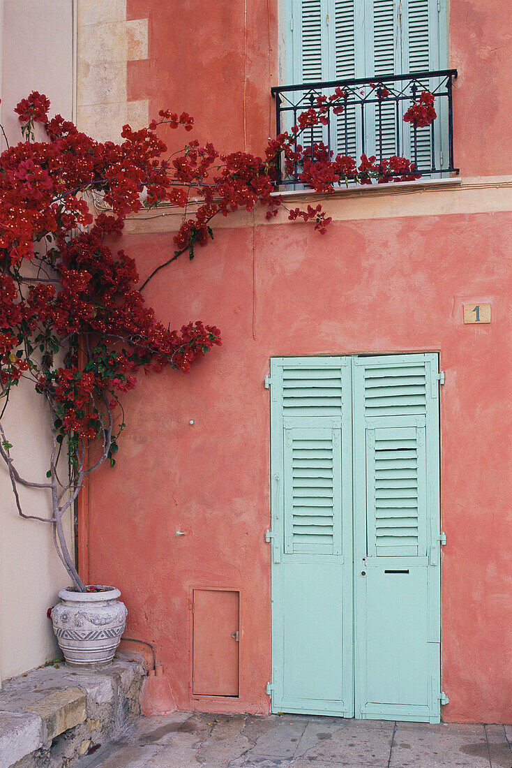 A door of a house with bougainvilla, Roquebrune, Cote D'Azur, Provence, France