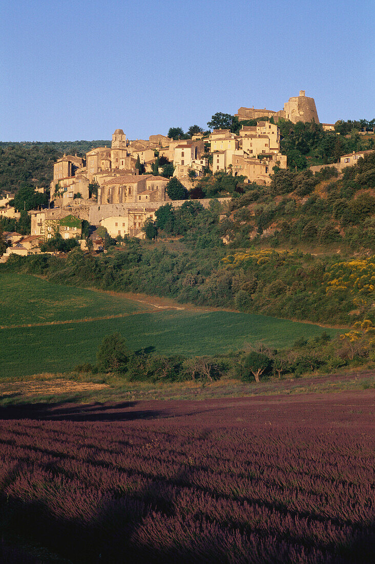 Lavendel und Bergdorf, Simiane La Rotonde, Provence, Frankreich
