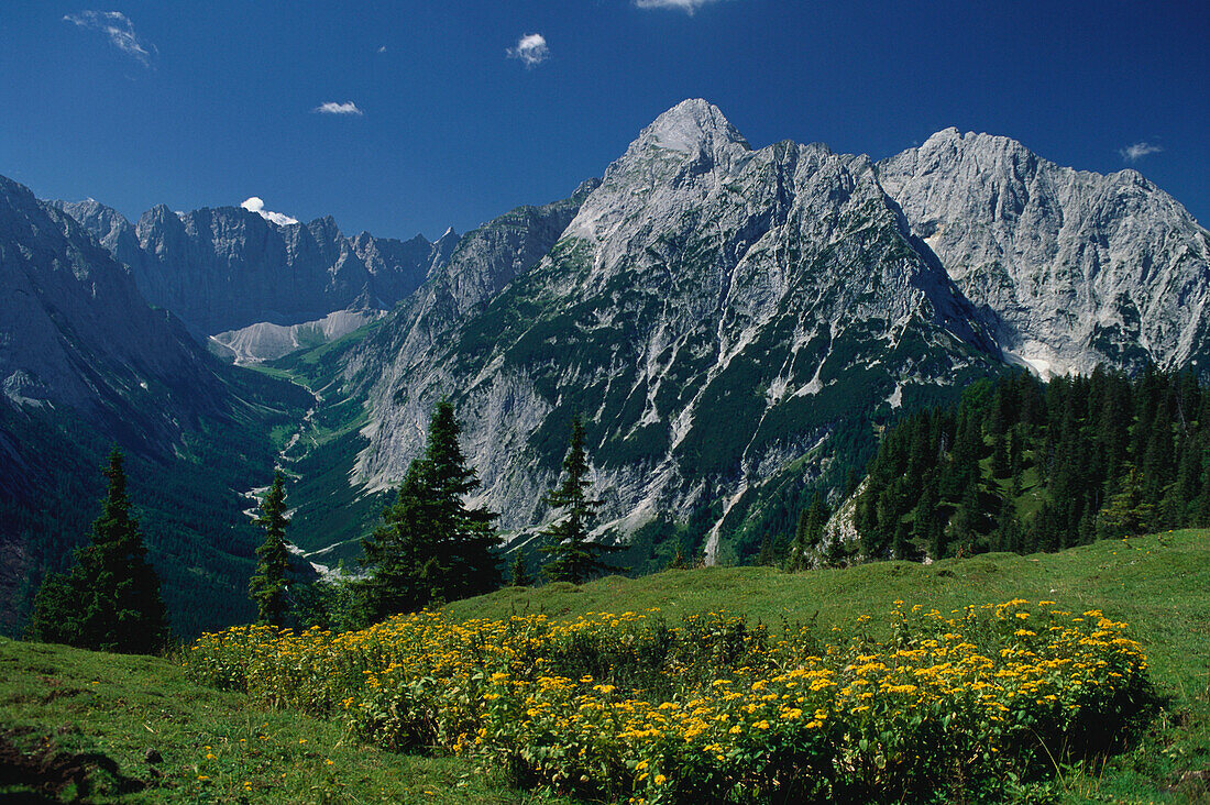 View from a mountain pasture into a narrow valley, Karwendel range, Bavaria, Germany