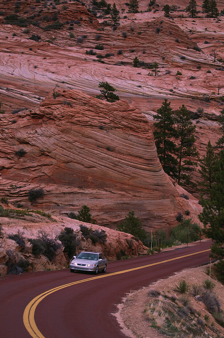 Auto fährt auf Landstraße, Zion National Park, Utah, USA