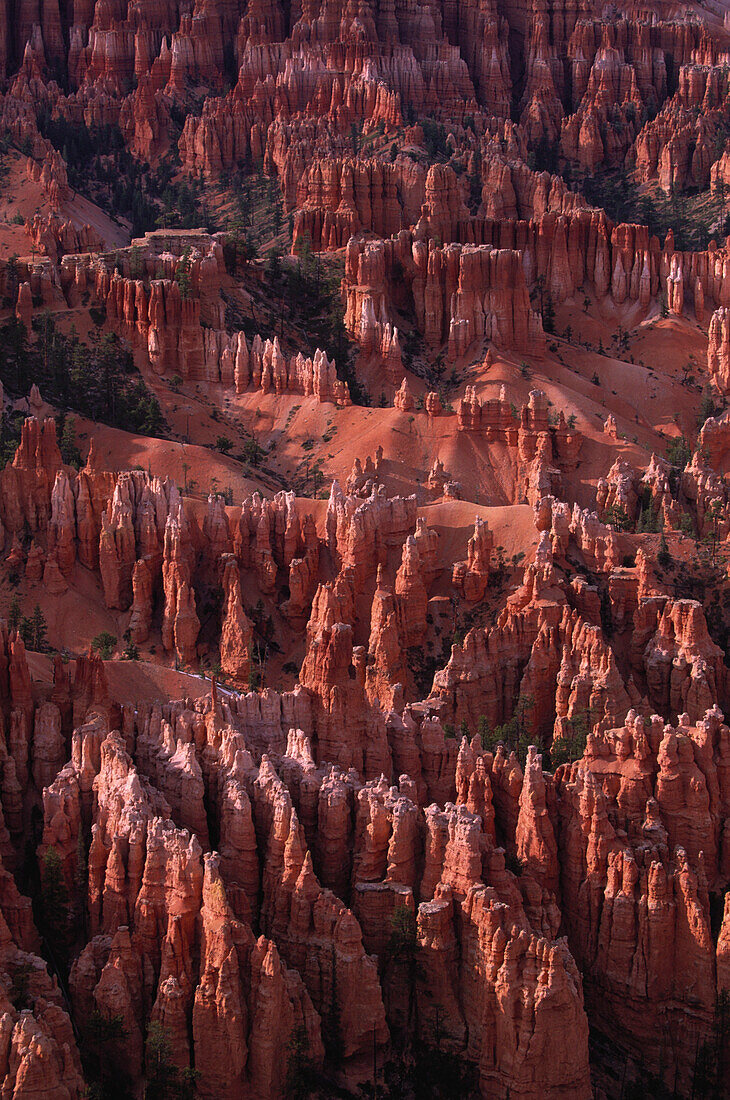 Bryce Amphitheater, Fels, Felsformation, Bryce Canyon National Park, Utah, USA