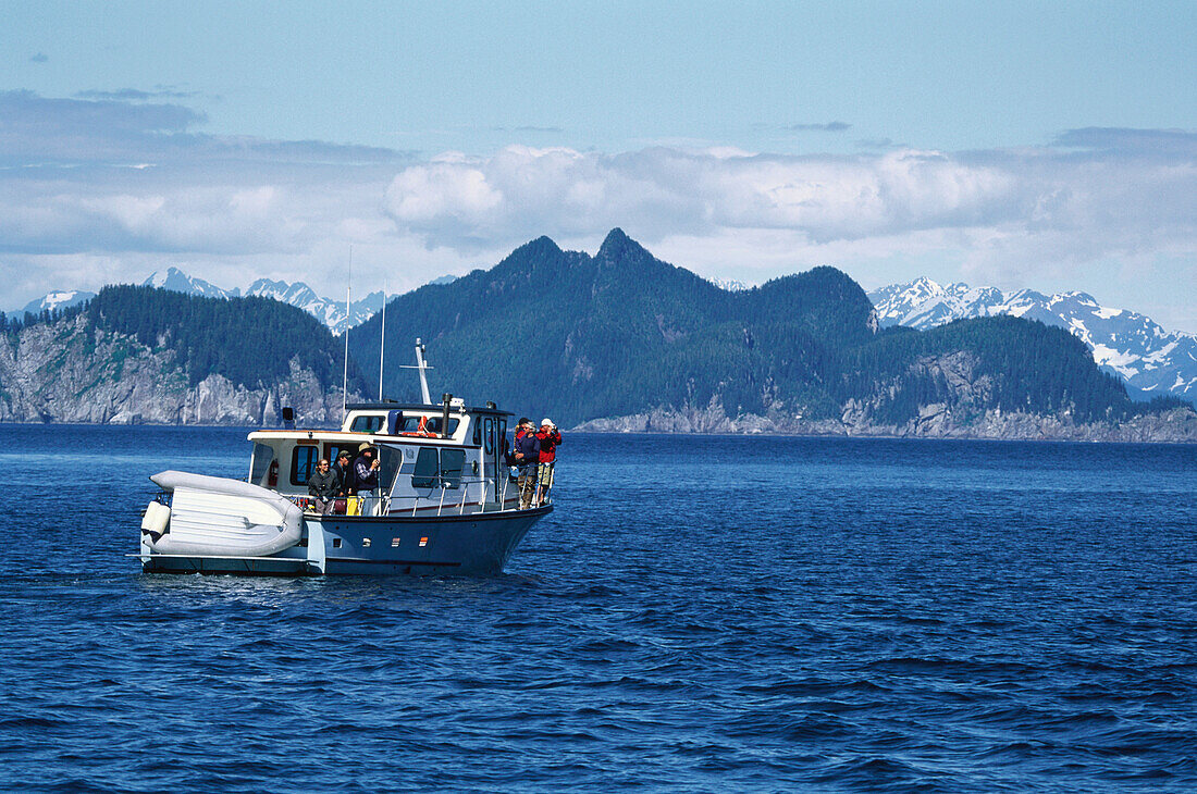 Touristenboot, Kenai Fjords National Park, Gebirge, Alaska, USA