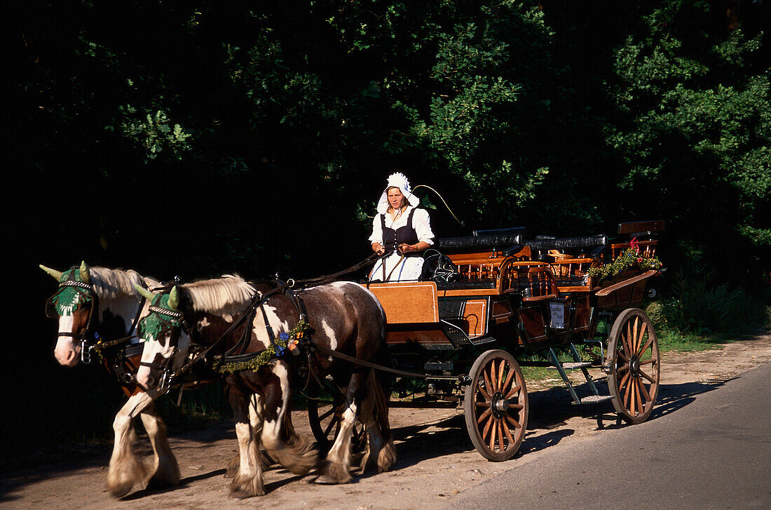 Pferdekutsche mit Frau im Tracht, Prerow, Darss, Mecklenburg-Vorpommern, Deutschland