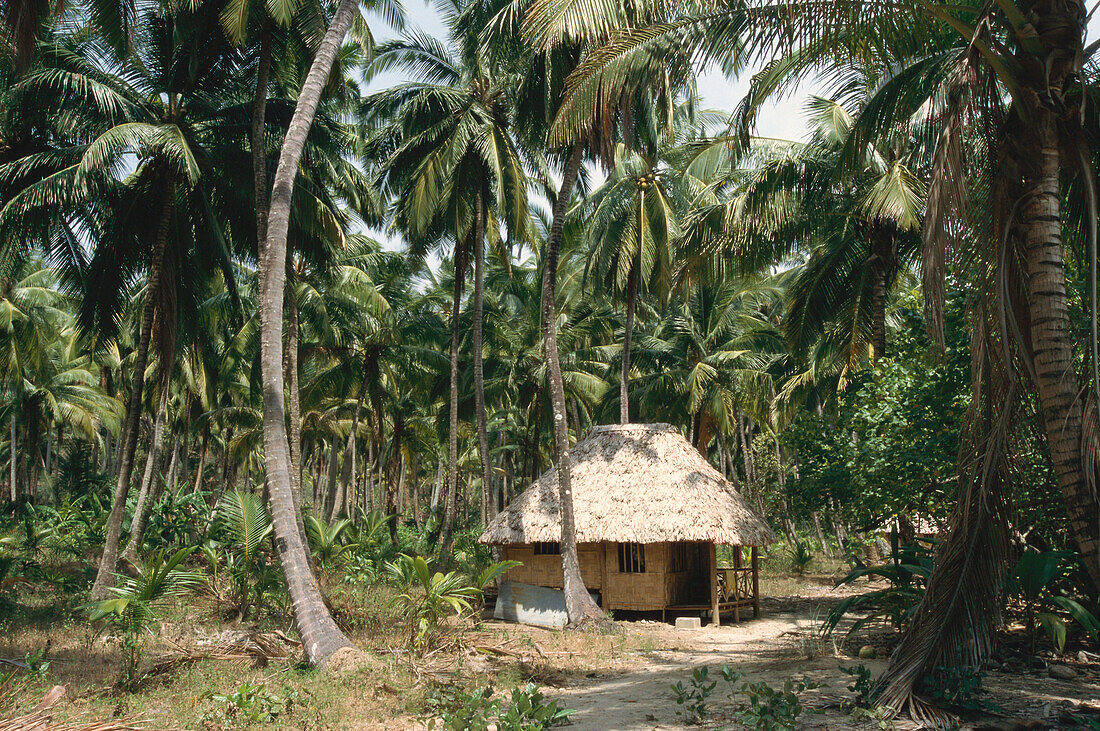 Eine Strohhütte im Regenwald, Avis Inseln, Andamanen, Indien