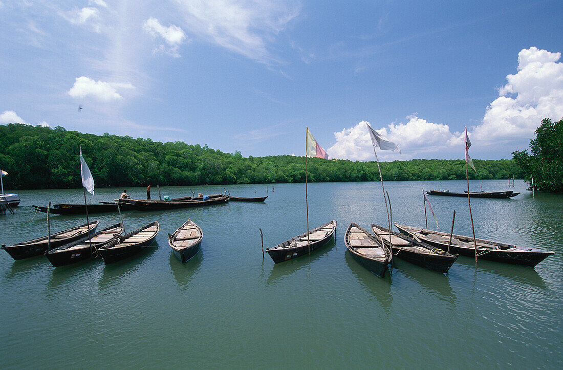 Boats in the harbour at Kalighat, North Andaman Islands, India