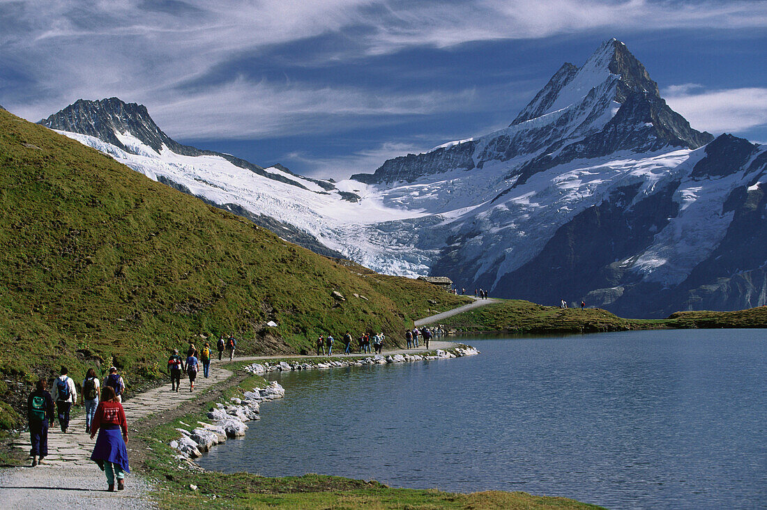 View of Lake Bachalpsee, Wetterhorn and Schreckhorn Mountains, near Grindelwald, Bernese Oberland, Switzerland