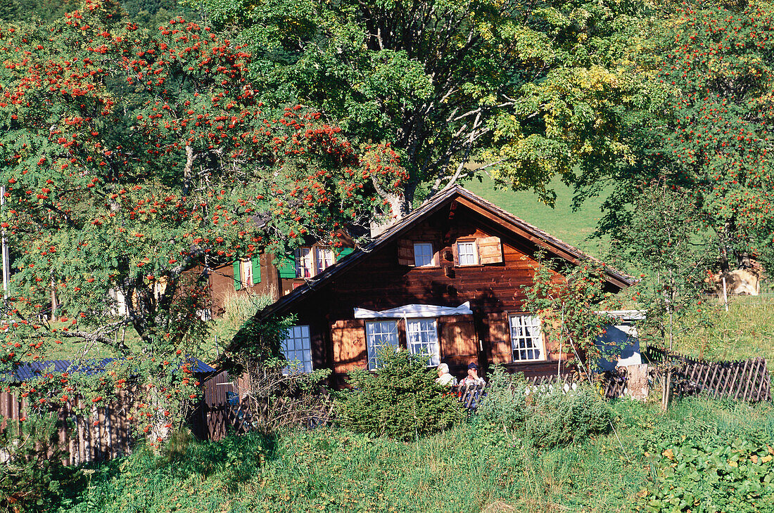 Rural scene with farmhouse at Brienz, Bernese Oberland, Switzerland