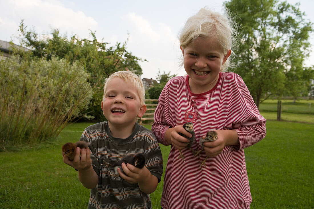 Children with chicks, Haunetal, Rhoen, Hesse, Germany