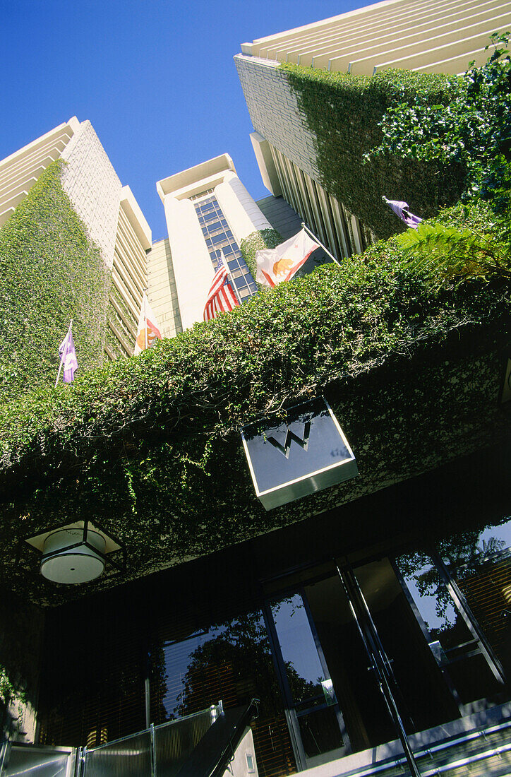 W Hotel, Westwood, L.A., Los Angeles, California, USA