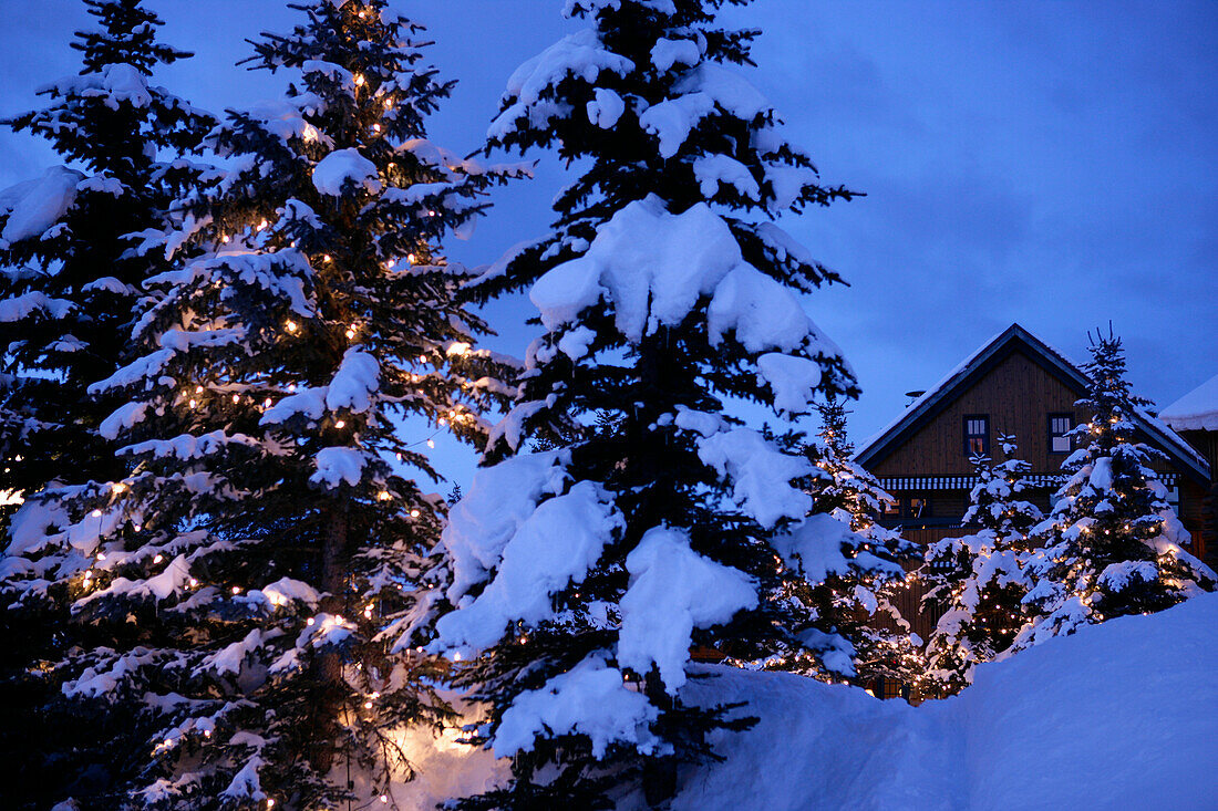Snow covered log house and Christmas Tree, Post hotel, lake louise, Alberta, Canada