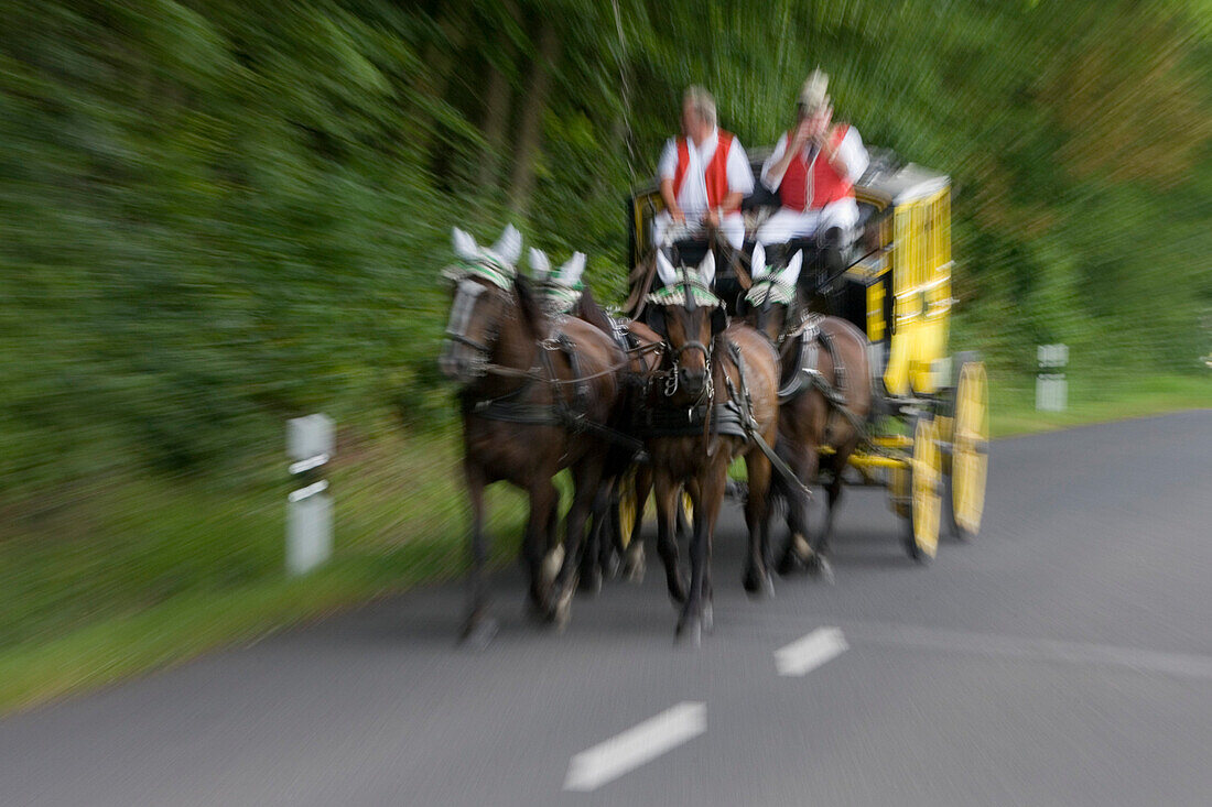 Stage coach, horse carriage, Near Bad Kissingen, Rhoen, Bavaria, Germany