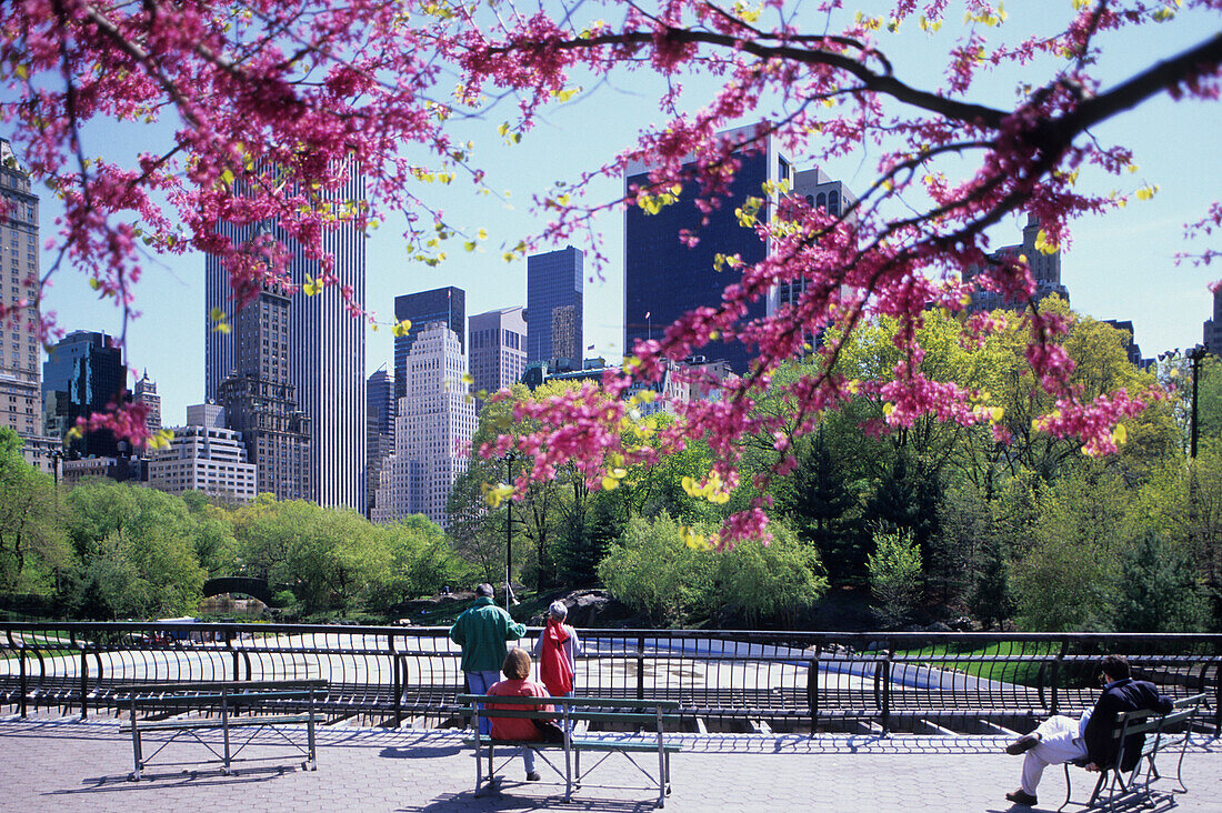 Frühlingstag am Woolman Rink im Central Park, Blick nach Süden, Manhattan