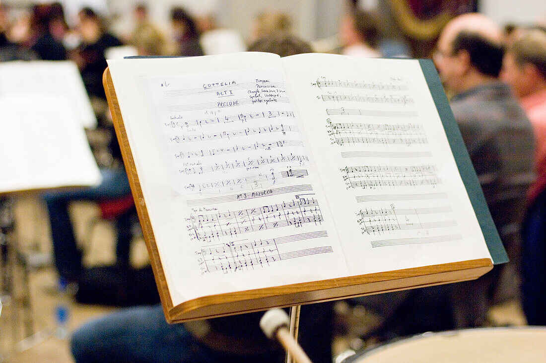 Timbal player, Munich Symphonic Orchestra, Germany