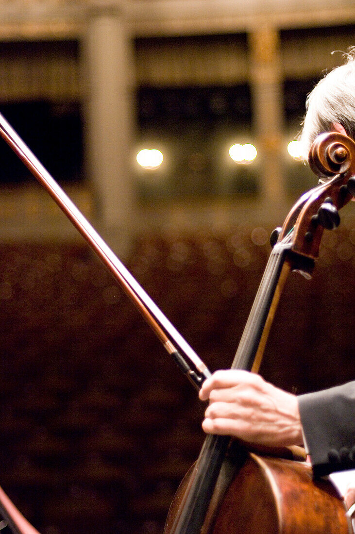 Man with contrabass, Prinzregententheater, Munich, Bavaria, Germany