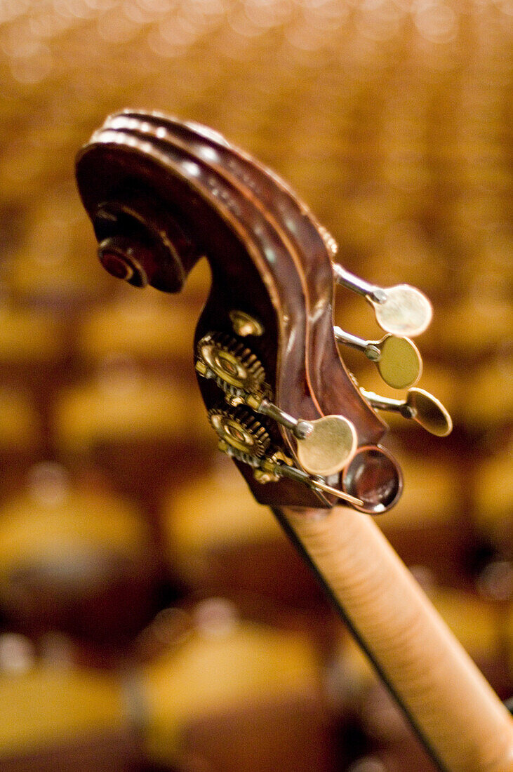 Scroll of a contrabass, Prinzregententheater, Munich, Bavaria, Germany