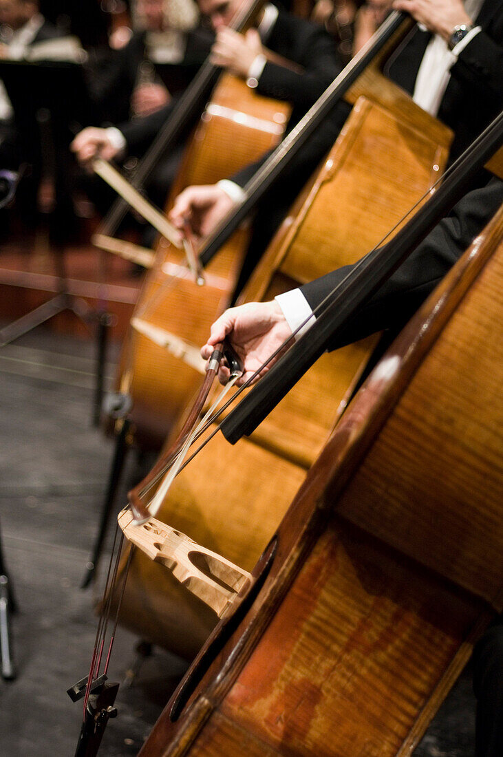Men playing contrabass, Munich Symphony Orchestra, Prinzregententheater, Munich, Bavaria, Germany