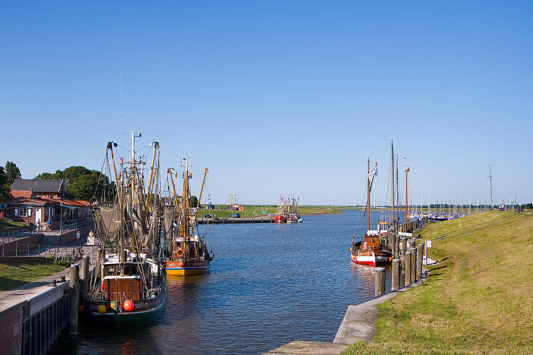 Fishing Cutter, Greetsiel, East Frisia, North Sea, Lower Saxony, Germany