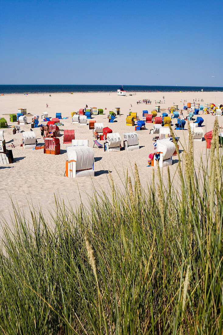 Strandgras, Strandkörbe, Juist, Ostfriesische Inseln, Ostfriesland, Niedersachsen, Deutschland