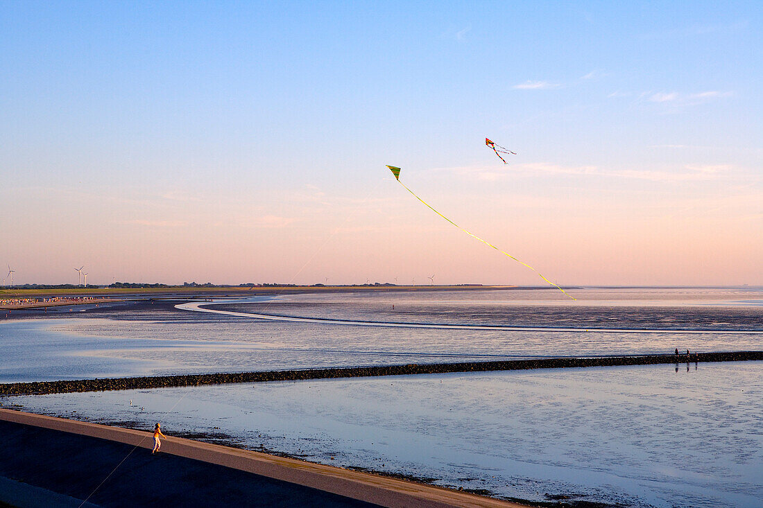 Drachen über dem Wattenmeer in der Abenddämmerung, Norddeich, Niedersachsen, Deutschland