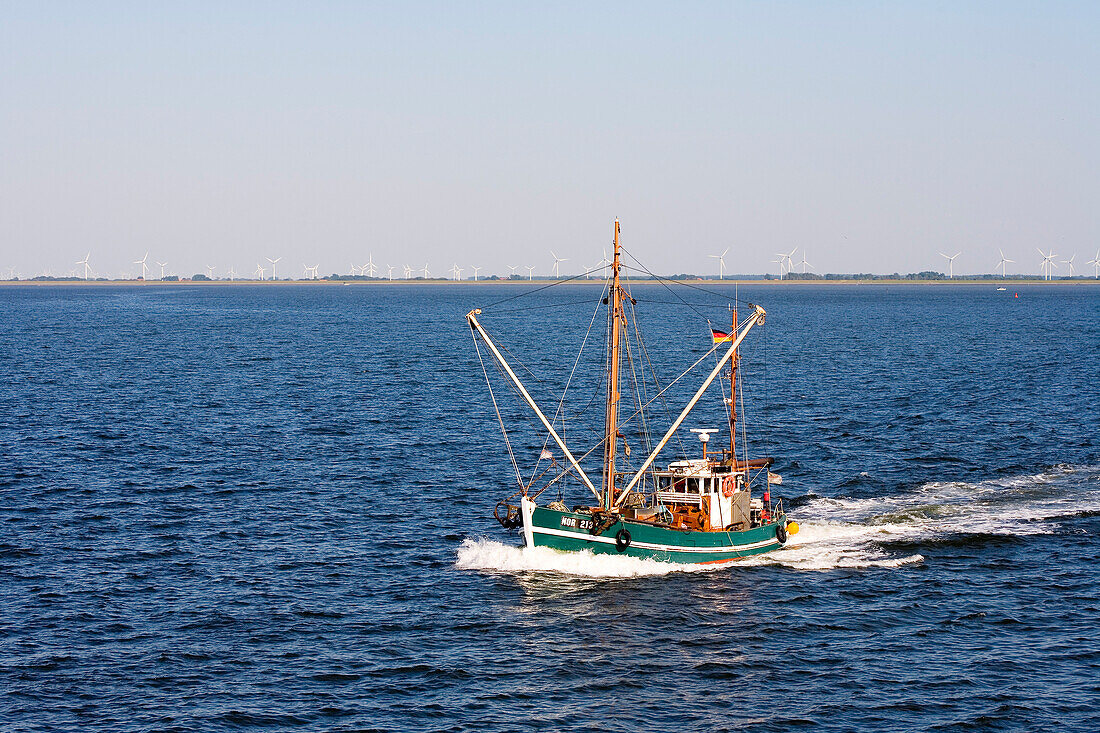 Fishing cutter, Norderney, East Frisia, North Sea, Lower Saxony, Germany