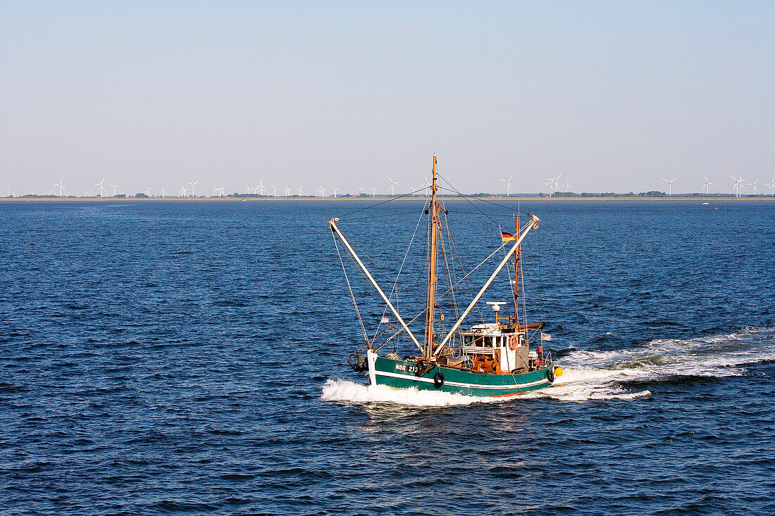 Krabbenkutter vor Norderney, Ostfriesische Inseln, Ostfriesland, Niedersachsen, Deutschland