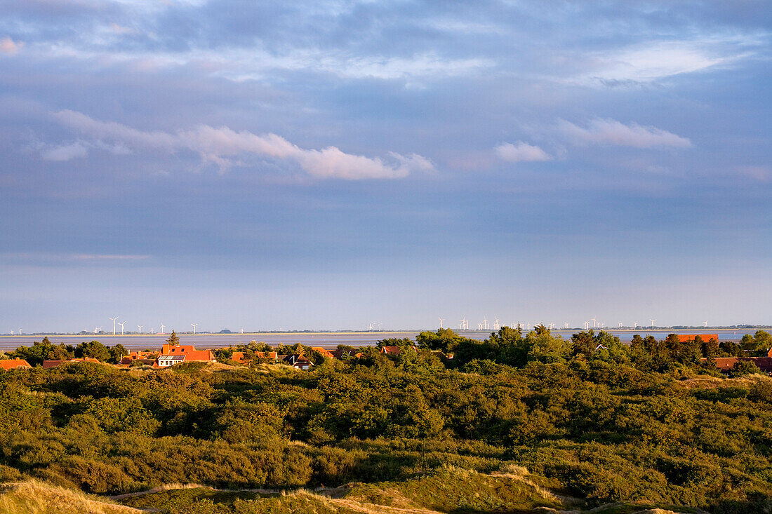 View over dune, Spiekeroog, East Frisian Island, Lower Saxony, Germany
