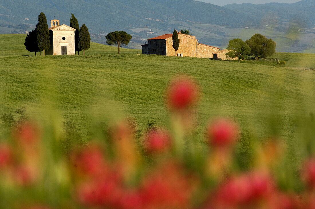 Ein Gehöft und Landschaft bei San Quirico d'Orcia, Siena, Toskana, Italien