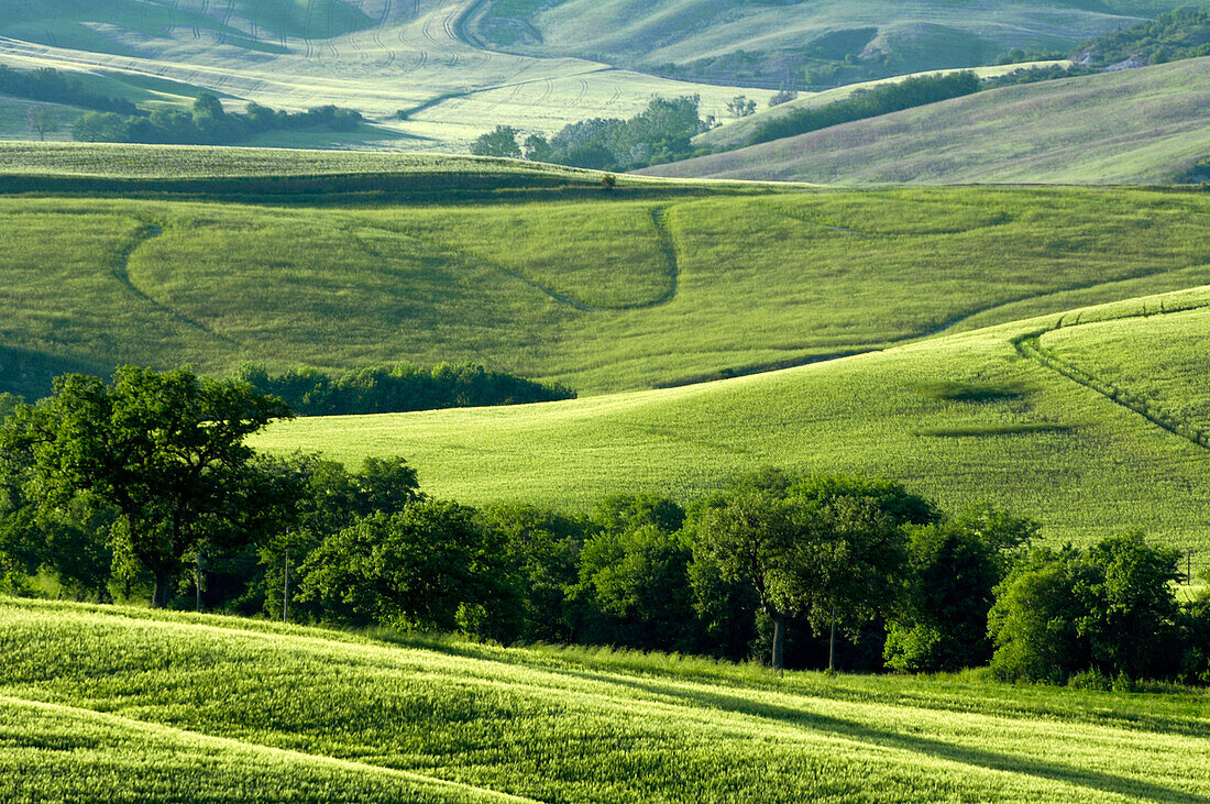 Landschaft in der Crete, Toskana, Italien