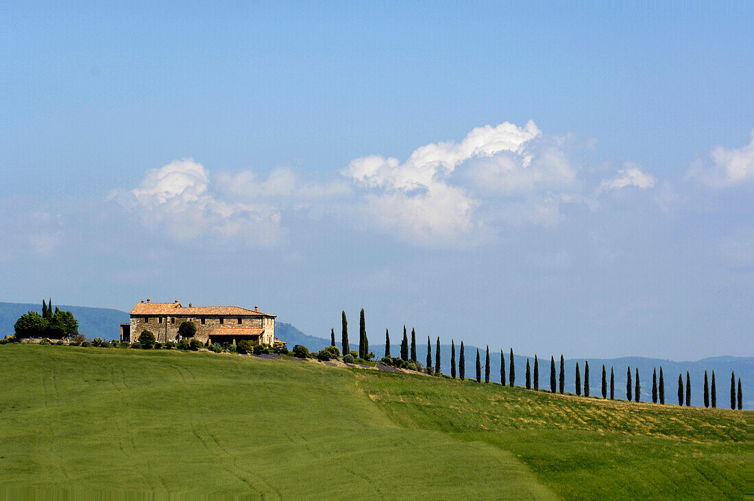 Farm with cypress trees, Crete Senesi, Tuscany, Italy