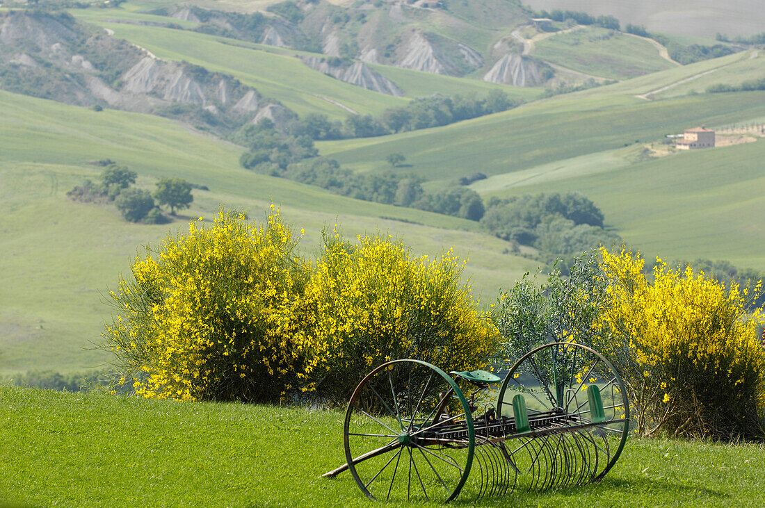 Landschaft in Crete, Toskana, Italien