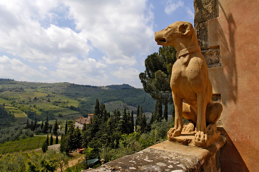 Vignamaggio, birth place of Mona Lisa, Tuscany, Italy