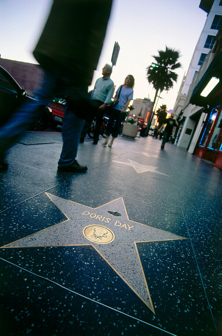 Hollywood Walk of Fame, Hollywood, L.A., Los Angeles, California, USA