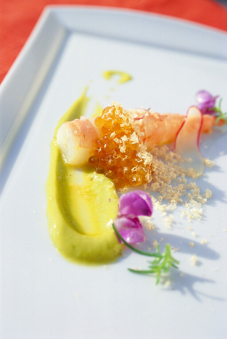 Key West Garnele mit Zitronen Avocado und Hasenuss Creme, Restaurant Brana, Coral Gables, Miami, Florida, USA