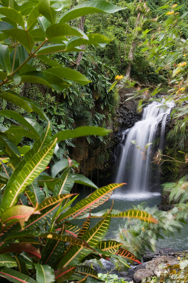 Annandale Falls, Near Constantine, Grenada