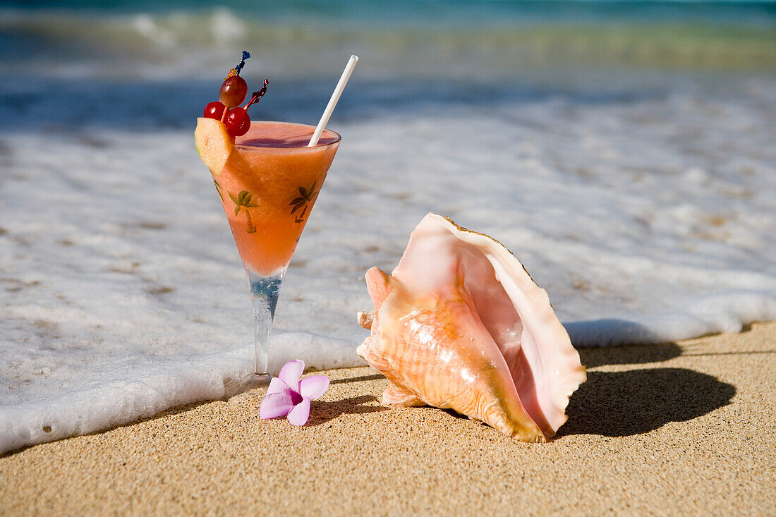 Cocktail und Conch Muschel am Strand, nahe Maca Bana Villas Hotel, Point Salines, Grenada, Kleine Antillen, Karibik