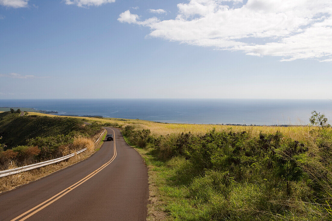 Straße durch Zuckerrohrplantage, Waimea Canyon Drive, nahe Waimea, Kauai, Hawaii, USA