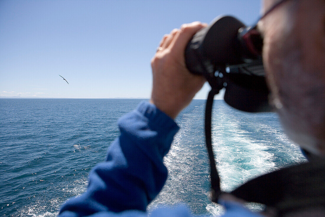Mann blickt durch Fernglas auf Albatrosse, an Bord von MS Bremen, nahe Hawkes Bay,  Nordinsel, Neuseeland